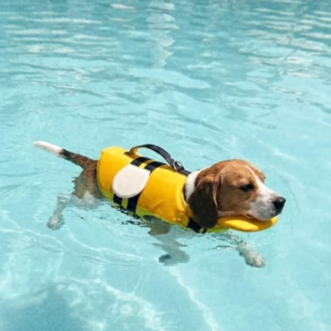 Customer photo review of Flotador Canino