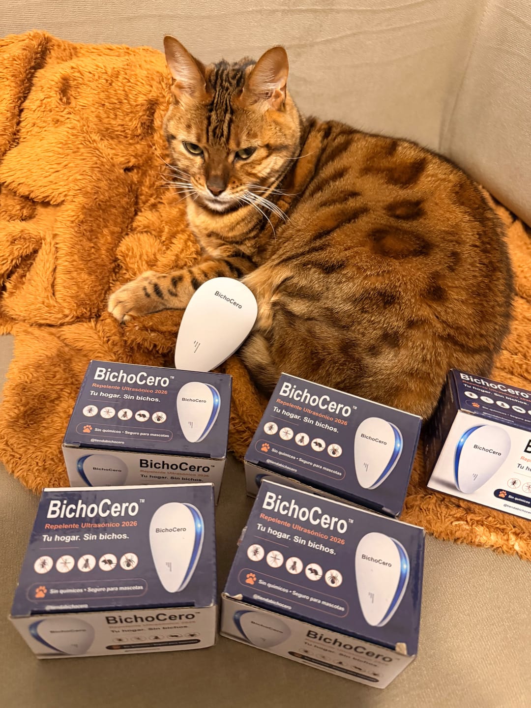 Customer photo review of BichoCero™ 2026 - Repelente de plagas mejorado