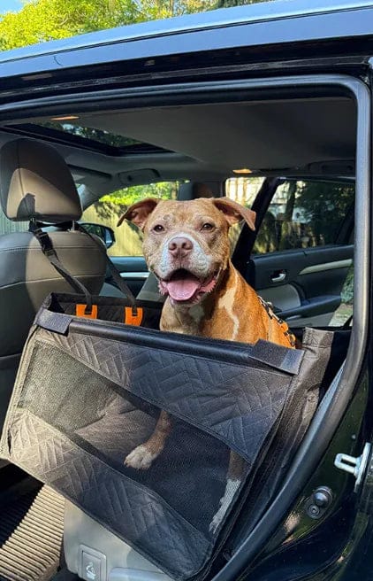 Customer photo review of Caisse de transport sécurisé voiture pour chien