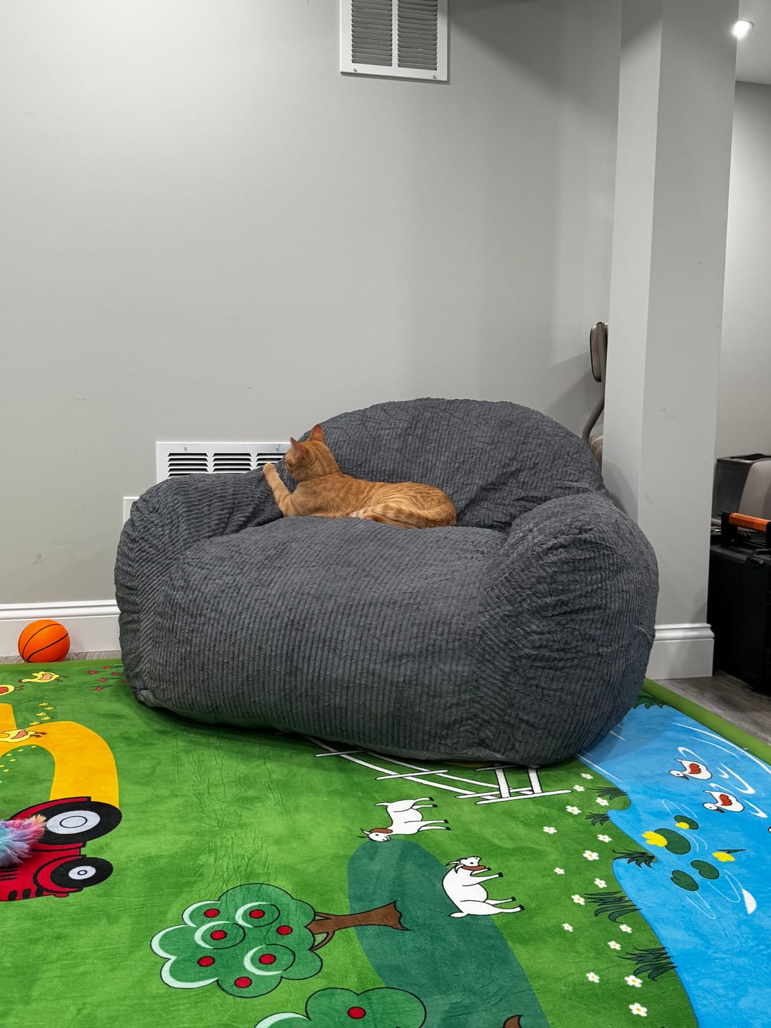 Customer photo review of Luxury Foam Relax Chair