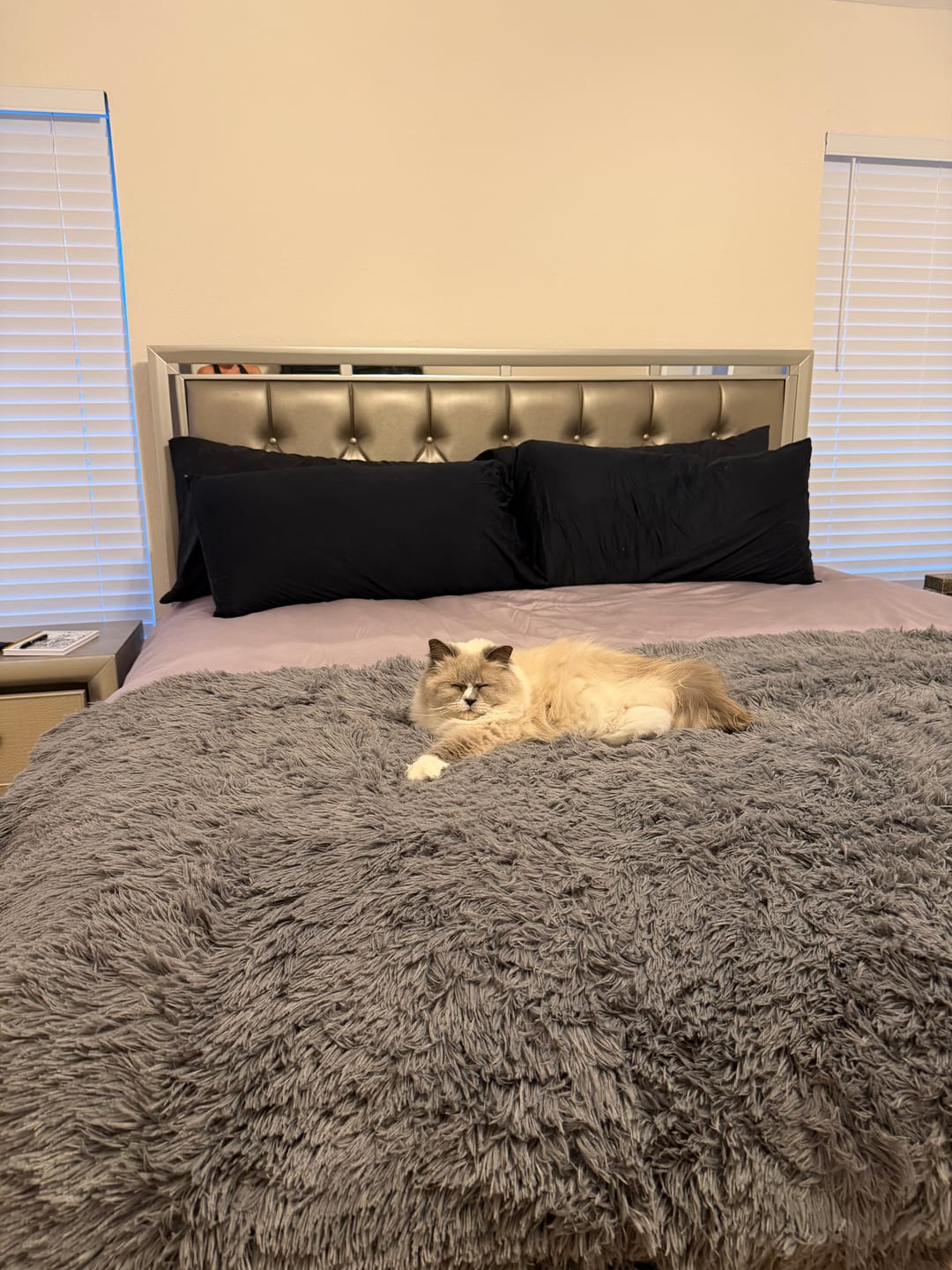 Customer photo review of MarshMellow Comforter
