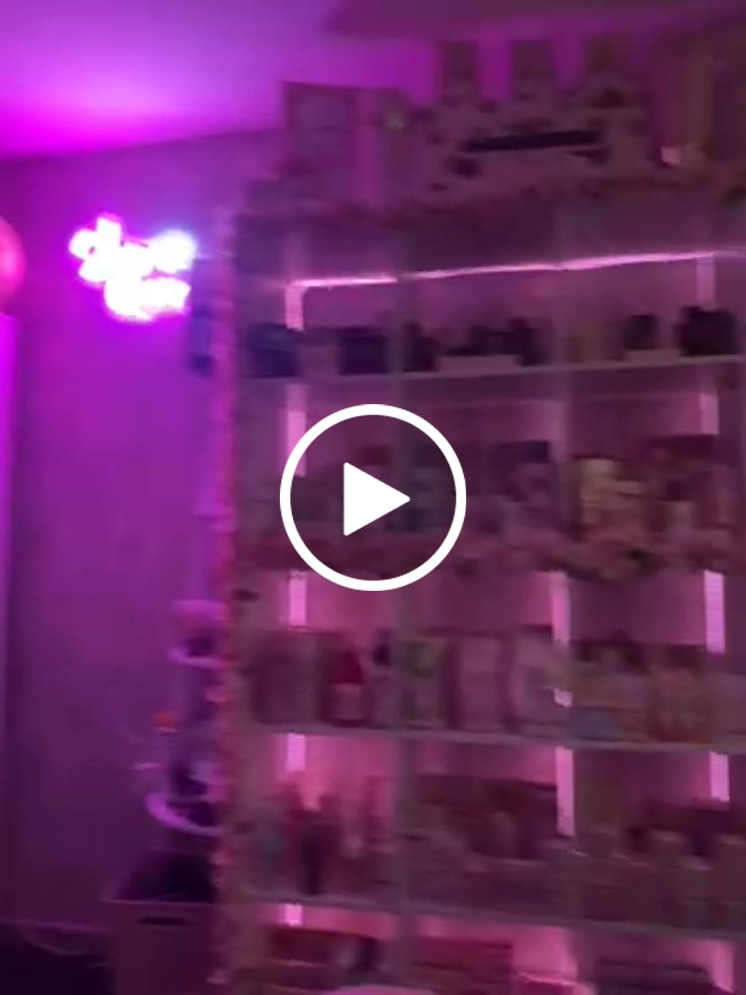 Customer video review of Cheetah Mode Cosmetics Set