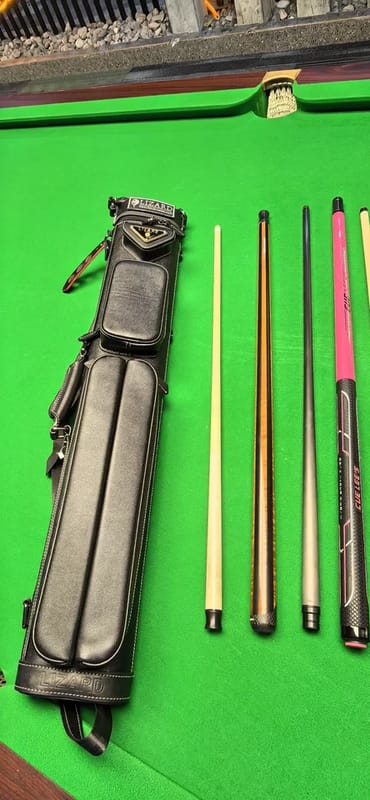 Customer photo review of Lizard Scarab Series Cue Case 3B4S