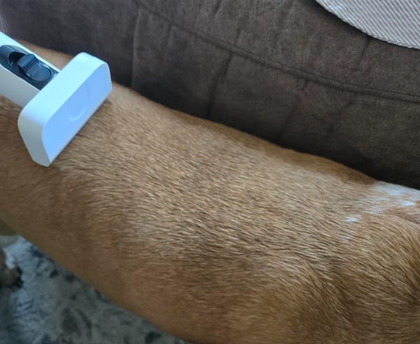 Customer photo review of Pawsky™ 2-in-1: Brushes & Vacuums
