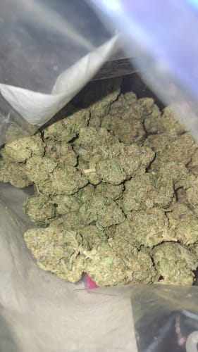 Customer's Biscotti THCA Flower inside a clear plastic bag, showing many light green, dried cannabis buds.