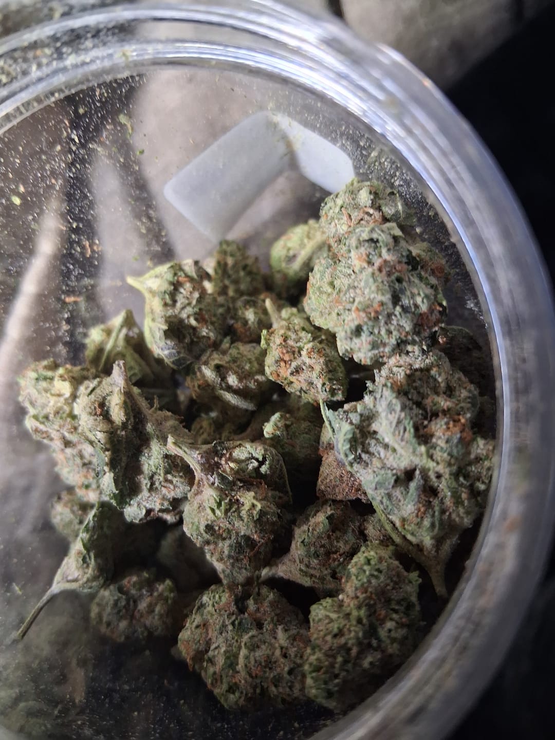 Customer photo review of Lucky 3 Special Kit - Buy 14G Get 42G