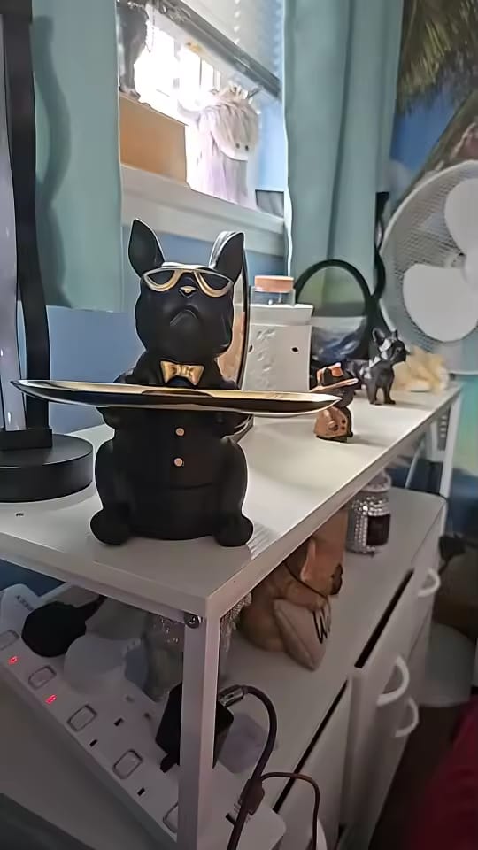 Customer photo review of Statue Décoration Intérieure Bouledogue – Figurine Design avec Plateau Vide-Poches