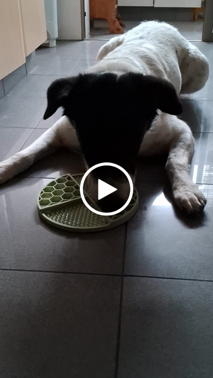 Customer video review of Lickmats