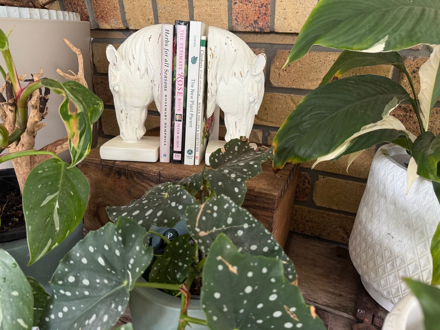 Customer photo review of Cavalier French Provincial Horse Head Bookends, Distressed White Equestrian Decor Set of 2