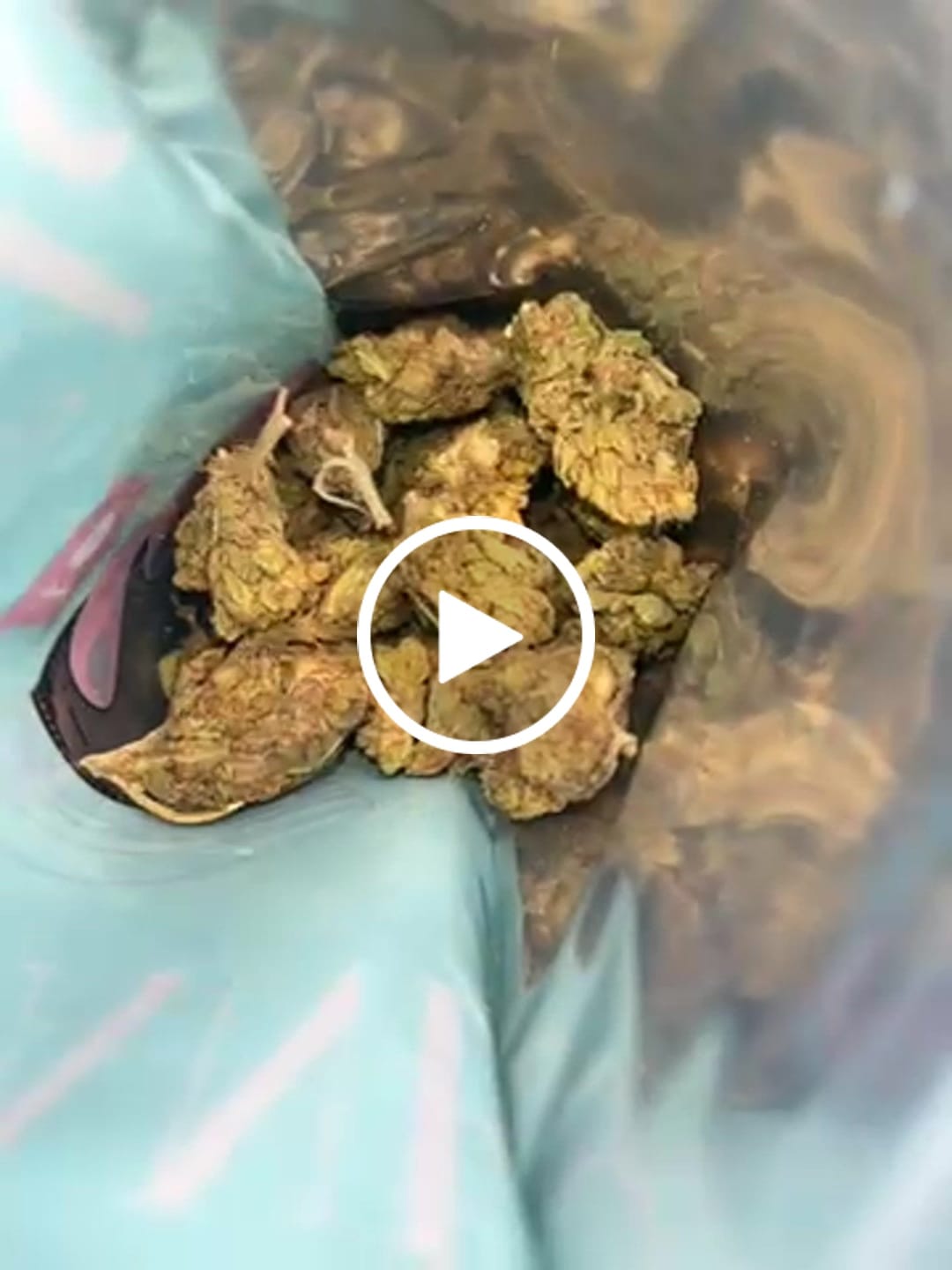 Customer video review of 1 Oz Cheap THCA Small Buds