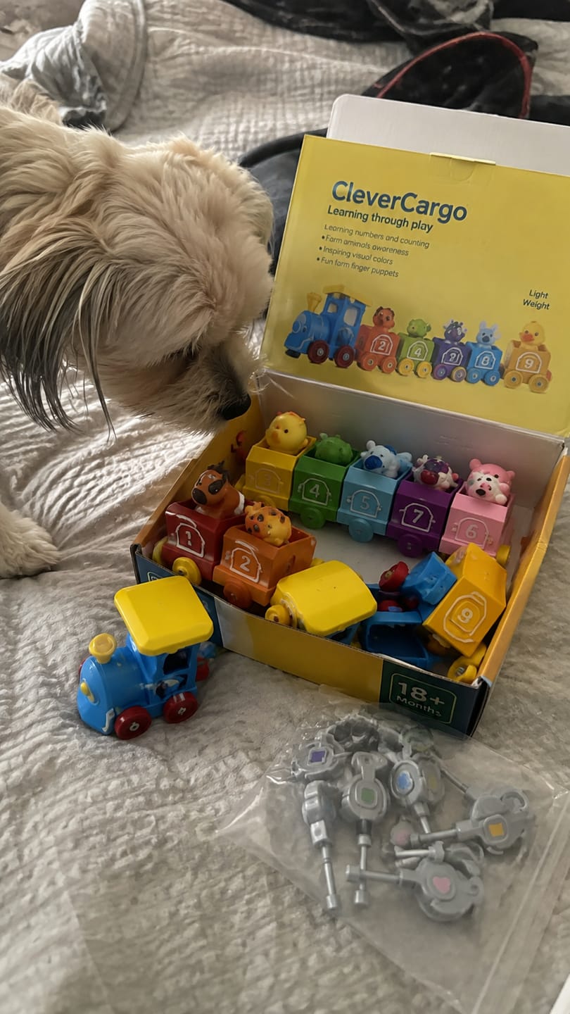 Customer photo review of CleverCargo™ Learning Train