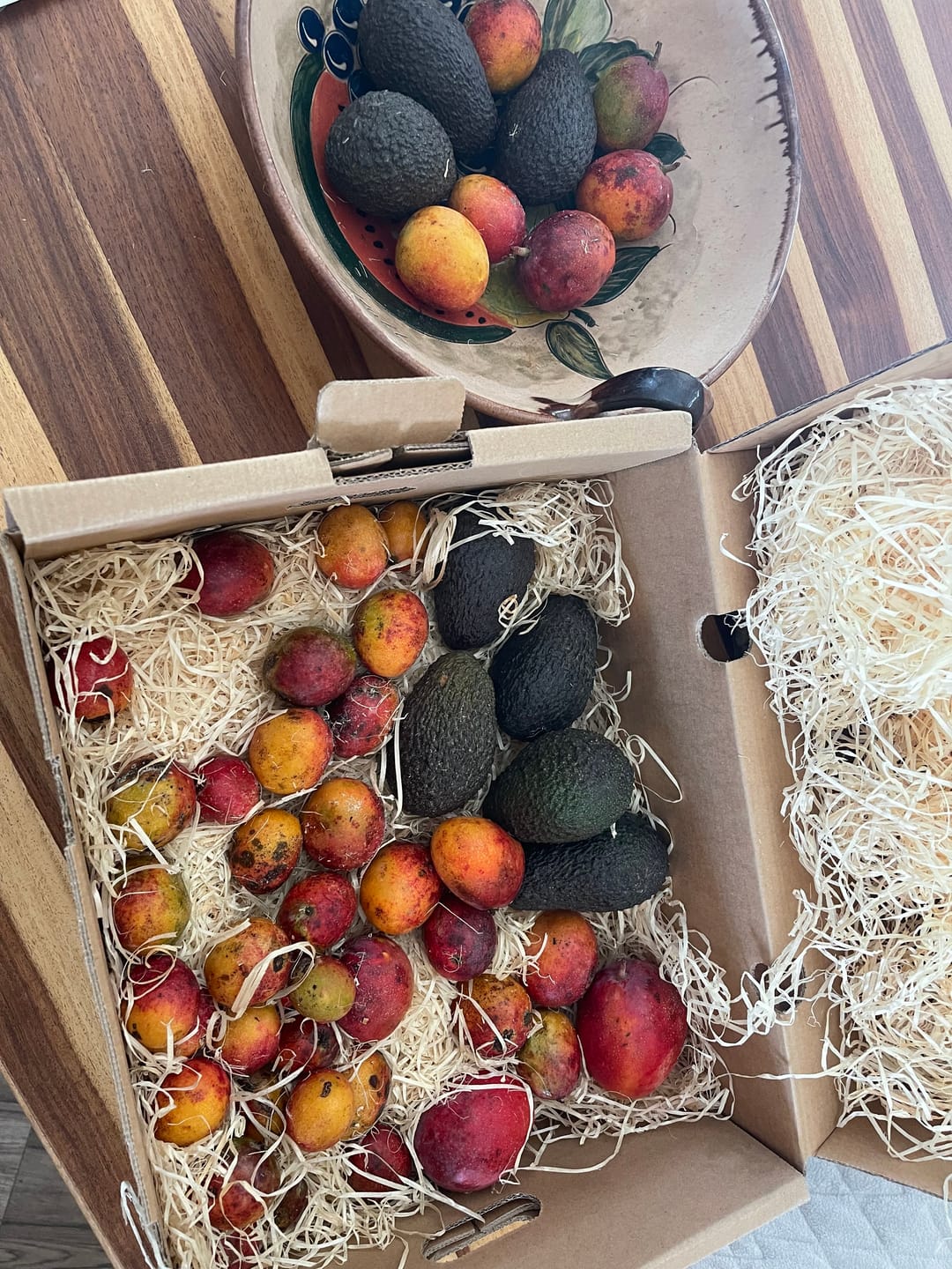 Customer photo review of Baby-Mango Irwin Bio von Julian