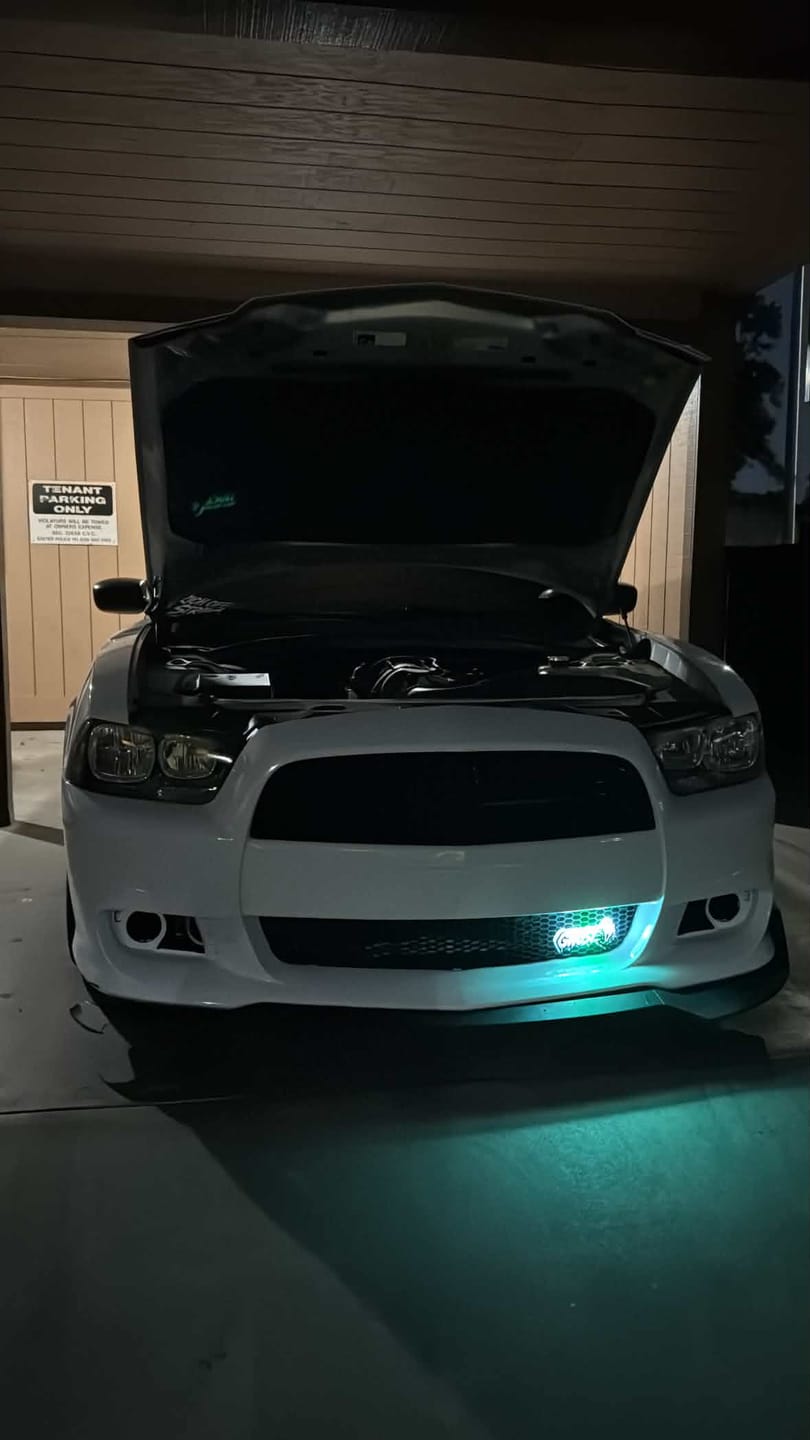 Customer photo review of Ghost Face LED Grille Light