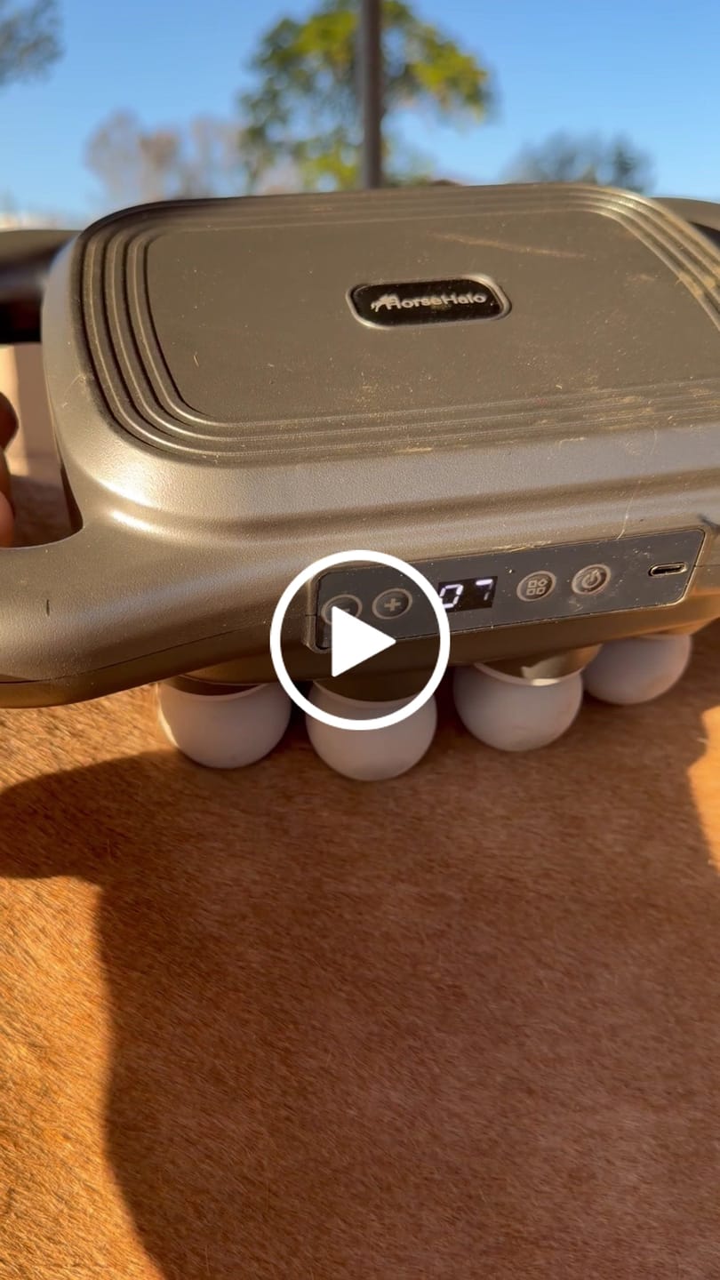 Customer video review of HorseHalo™ 8 Heads Red Light Massage Gun