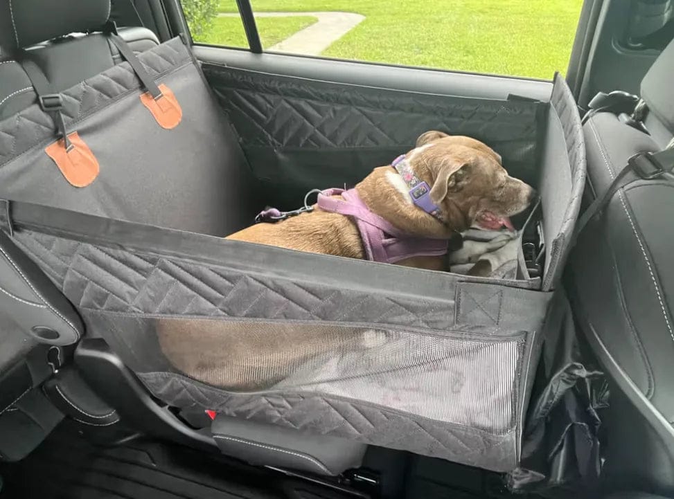 Customer photo review of Caisse de transport sécurisé voiture pour chien
