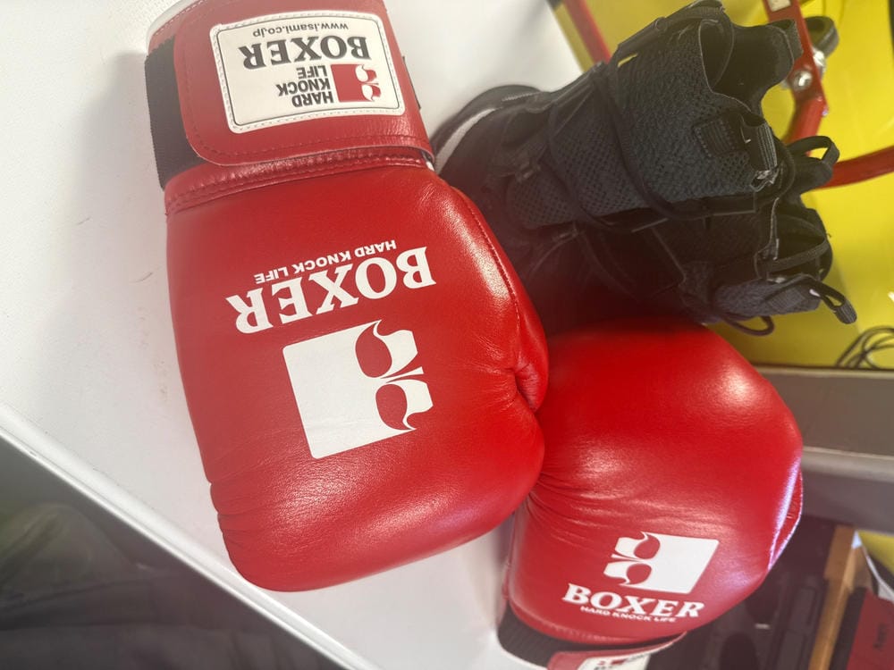 Customer photo review of Isami Pro Boxing Gloves