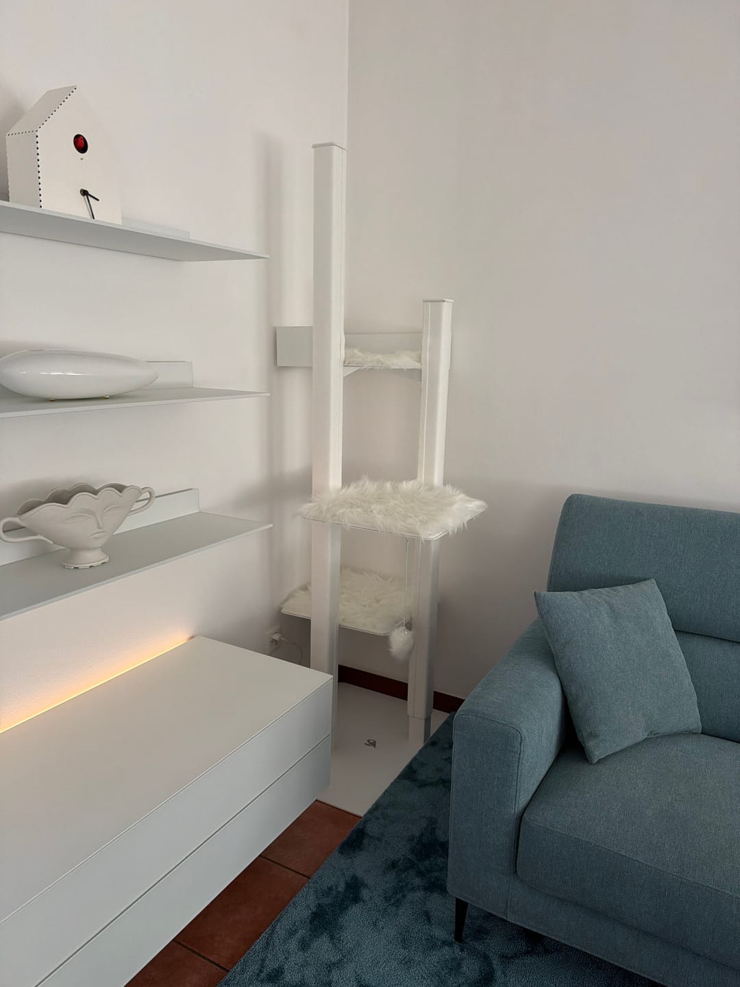 Customer photo review of STYA Katzen Kratzbaum MS610