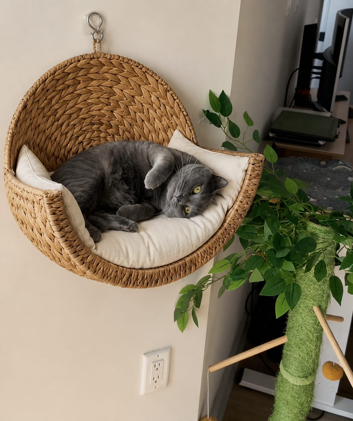 Customer photo review of CozyWhisker™ - Handwoven Cat Bed