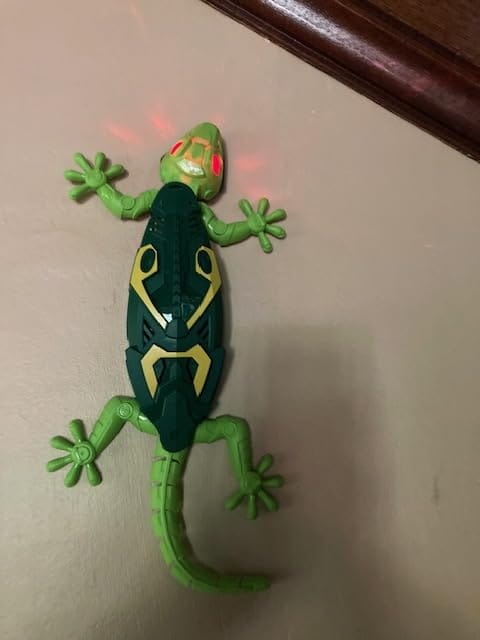 Customer photo review of GeckoCrawler™ – Wall, Ceiling & Floor RC Lizard