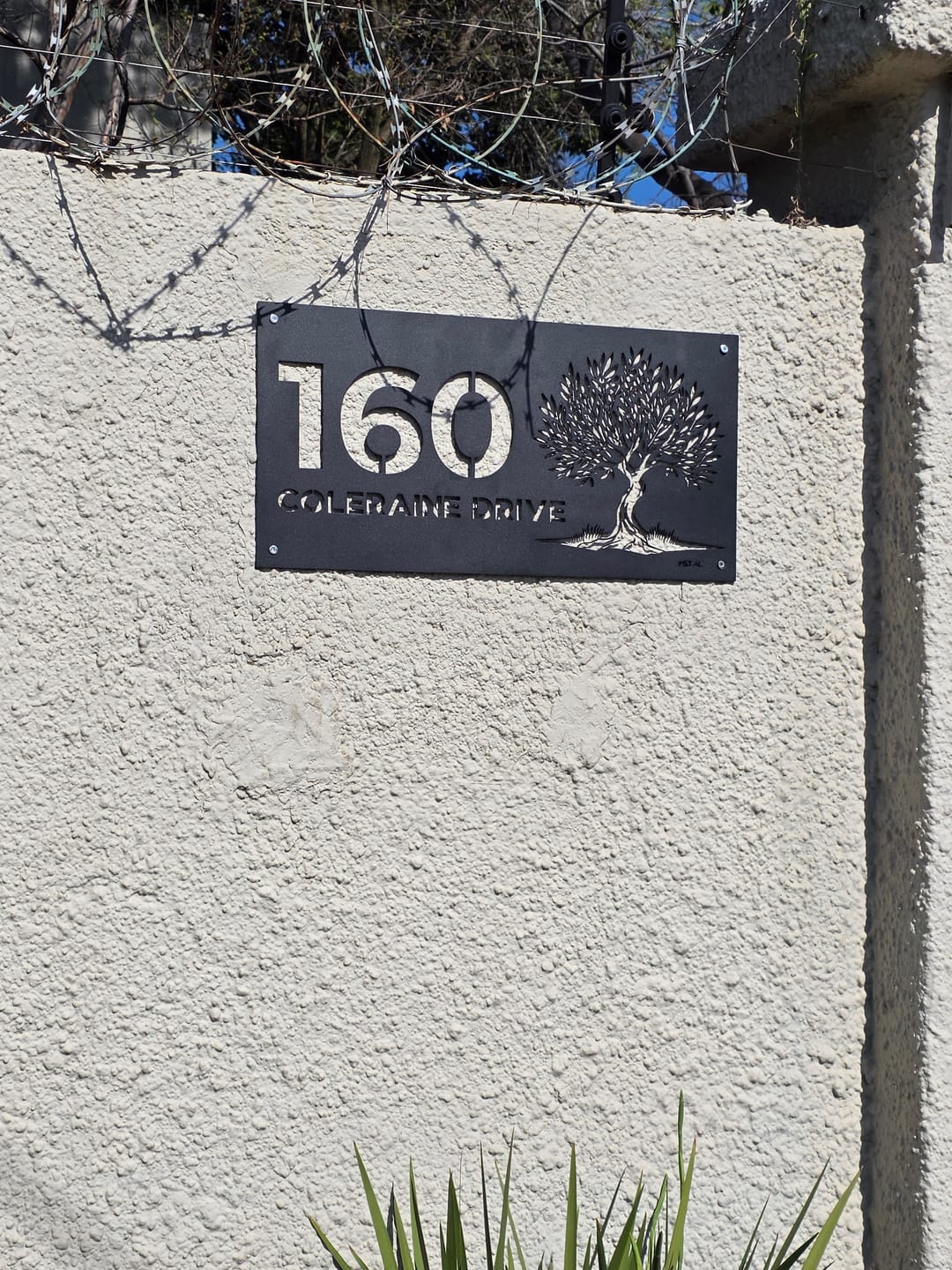 Customer photo review of The Olive Tree Metal House Number