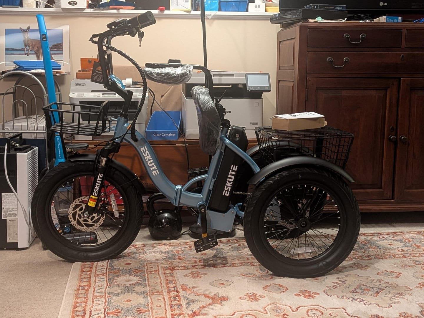 Customer photo review of Eskute® T300 Pro Folding Electric Trike with One-Button Reverse