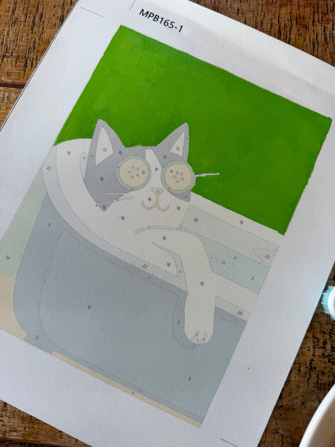 Customer photo review of 6 Mini Paintings - Crazy Cat Set