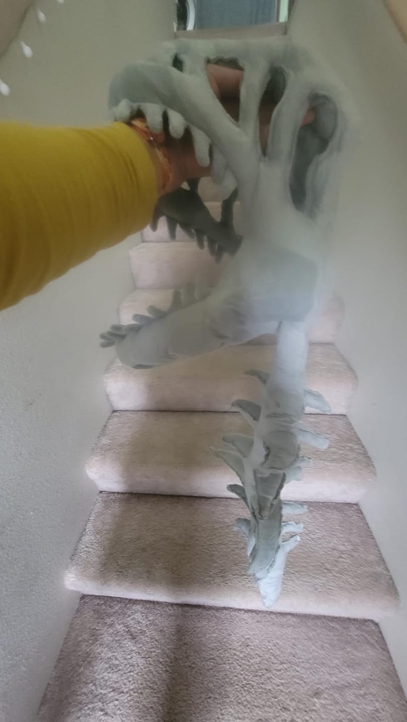 Customer photo review of Dino Plush Hoodie