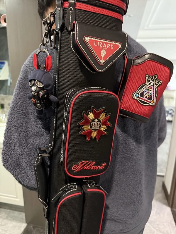 Customer photo review of Lizard Scarab Series Cue Case 3B4S