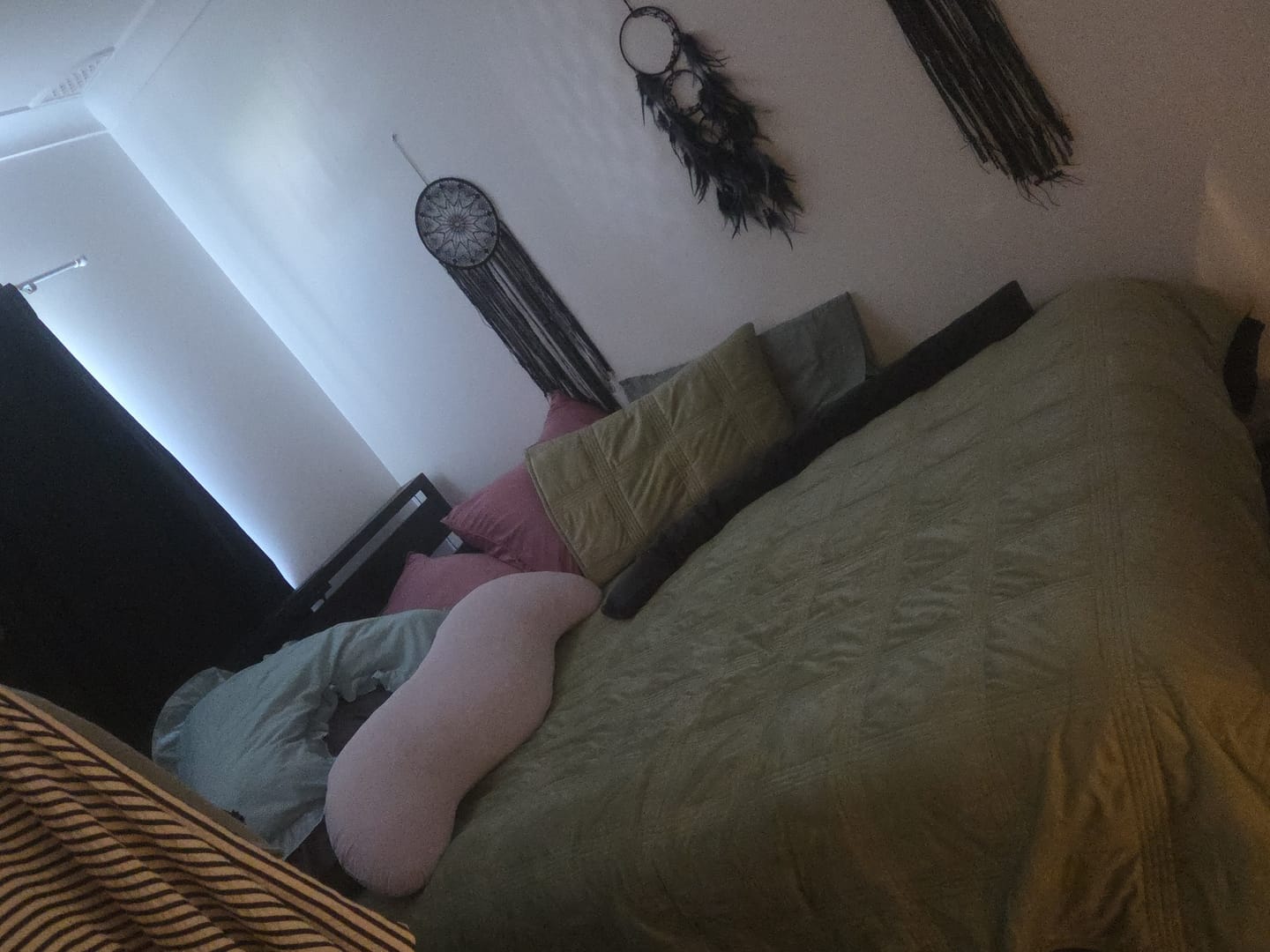Customer photo review of Snuggi BodyAlign Pillow
