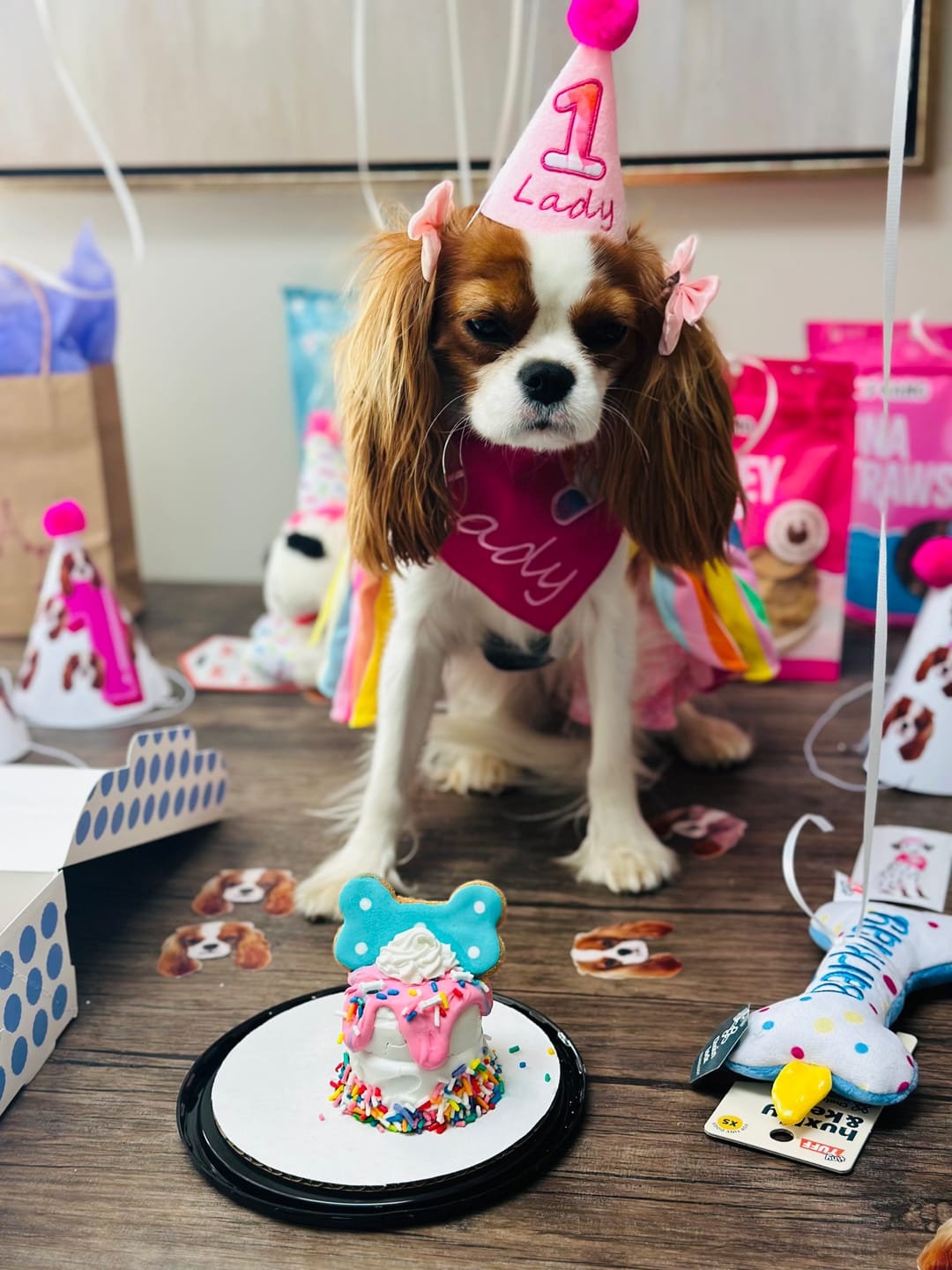 Customer photo review of Personalized Dog Party Pack