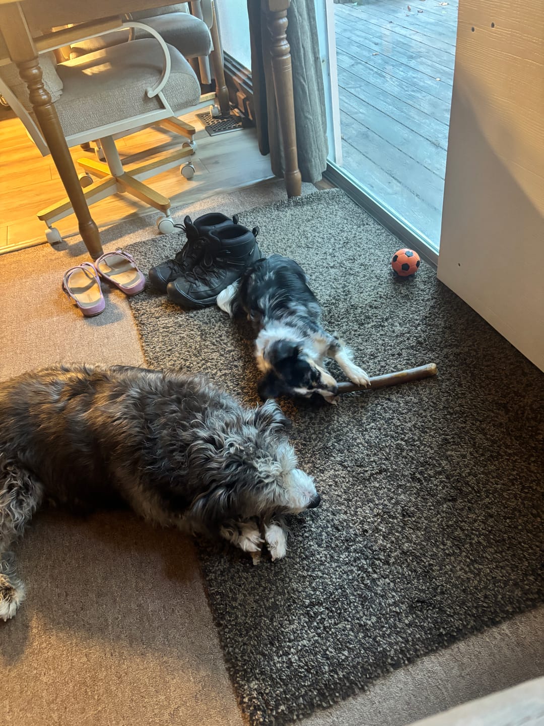 Customer photo review of Wholly Pup Gift Card