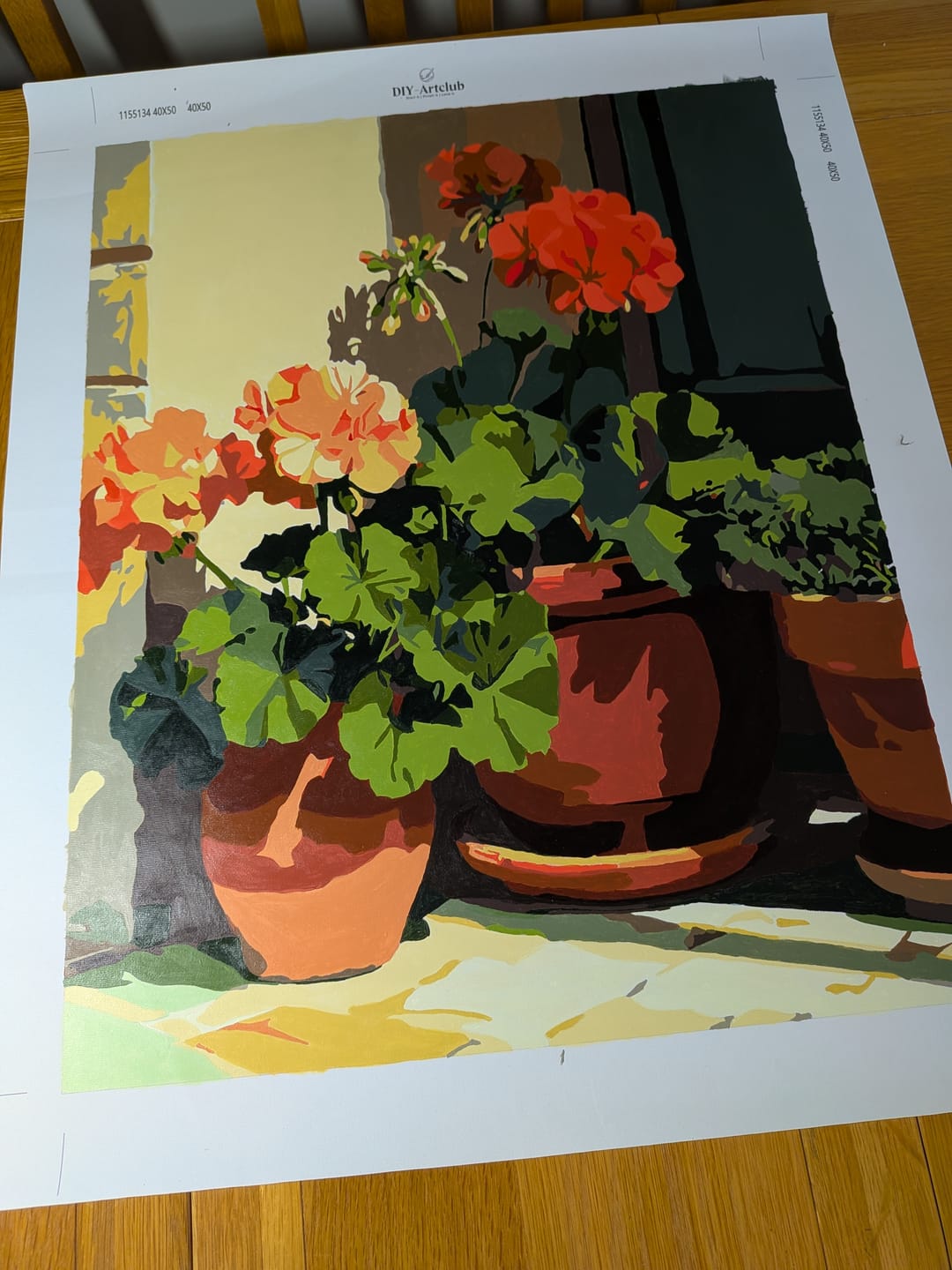 Customer photo review of Terracotta Geraniums | Paint by Number