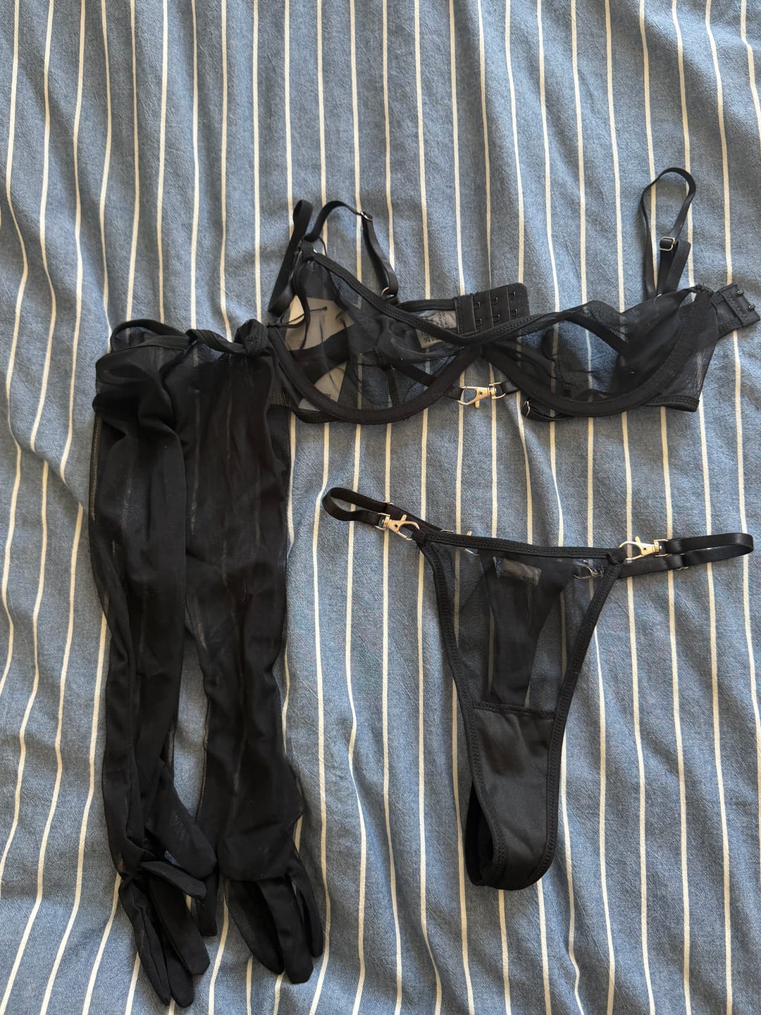 Customer photo review of Sheer Mesh Lingerie Set With Opera Gloves