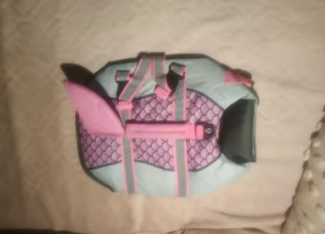Customer photo review of Chaleco Sharkpets