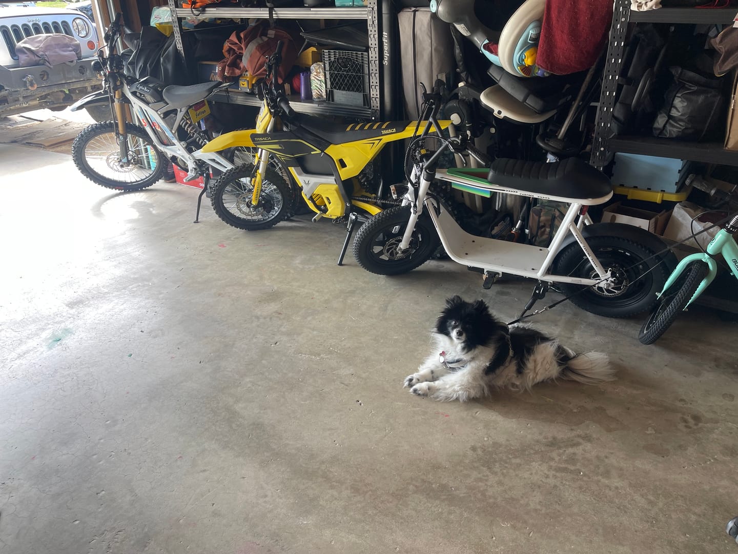 Customer photo review of T500-V58 Electric Dirt Bike