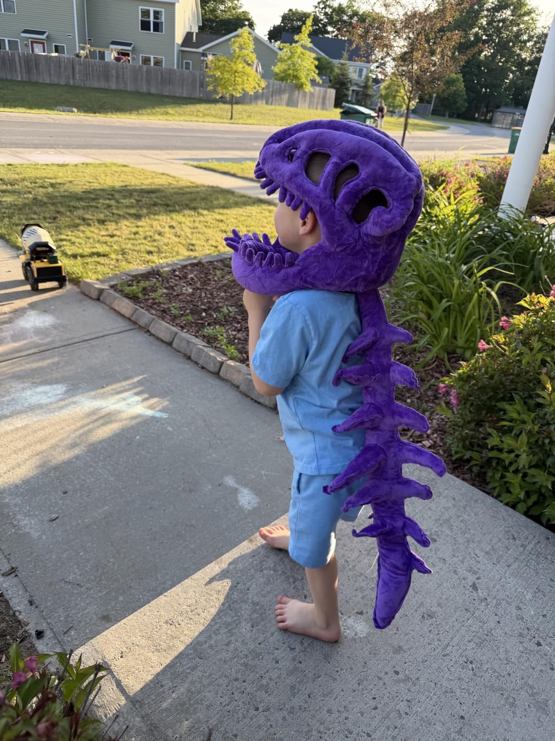 Customer photo review of Dino Plush Hoodie
