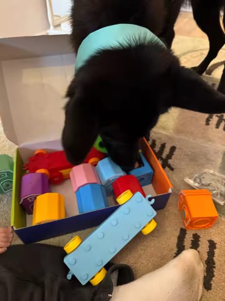 Customer photo review of CleverCargo™ Learning Train