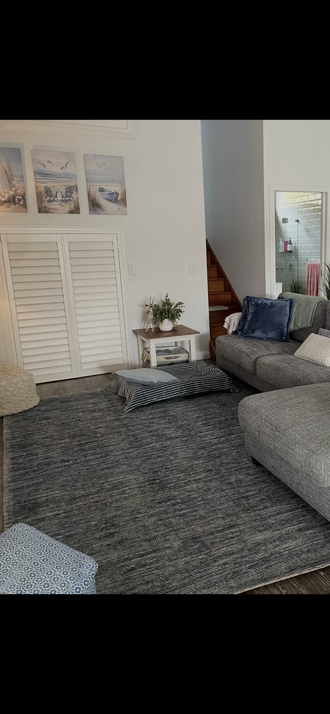 Customer photo review of Allure Indigo Cotton Rayon Rug
