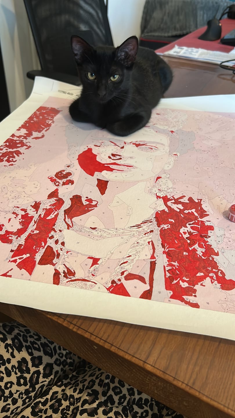 Customer photo review of Floral Rebel | Paint by Number