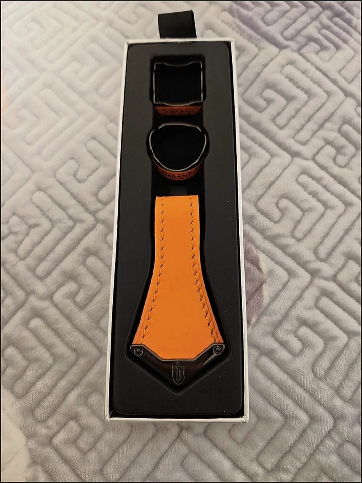 Customer photo review of Lizard Chalk Holder Kit