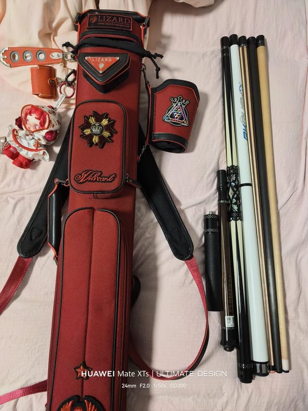 Customer photo review of Lizard Scarab Series Cue Case 3B4S