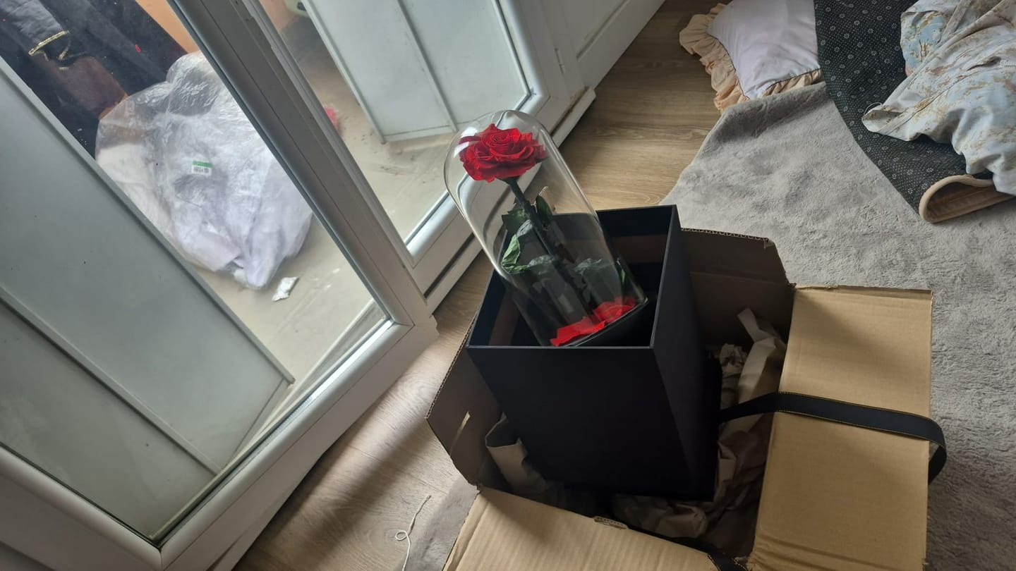 Customer photo review of Rose éternelle sous cloche plus ours en Rose