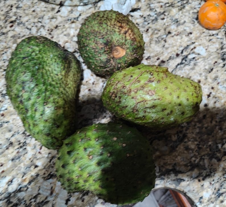 Customer photo review of Premium Soursop (Guanabana)