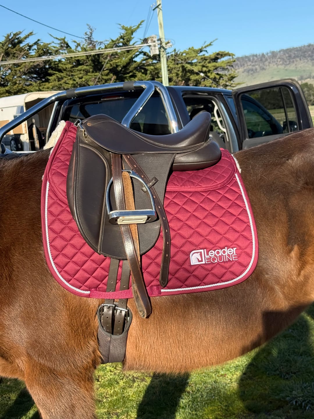Customer photo review of LE Performance Dressage Saddle Pad with Shims