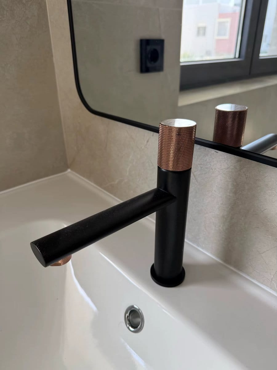 Customer photo review of Torneira Para Banheiro Monocomando Royal Flux