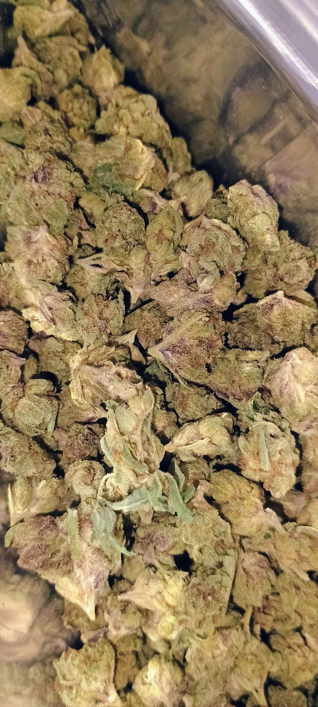 Customer photo review of Light Assist THCA Smalls