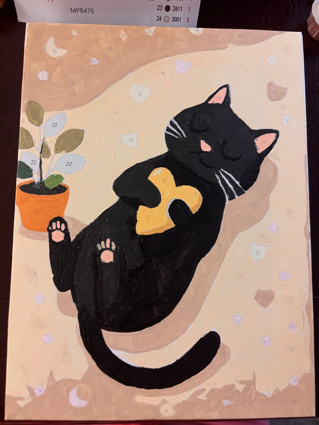 Customer photo review of 6 Mini Paintings - Cute House Cats Set