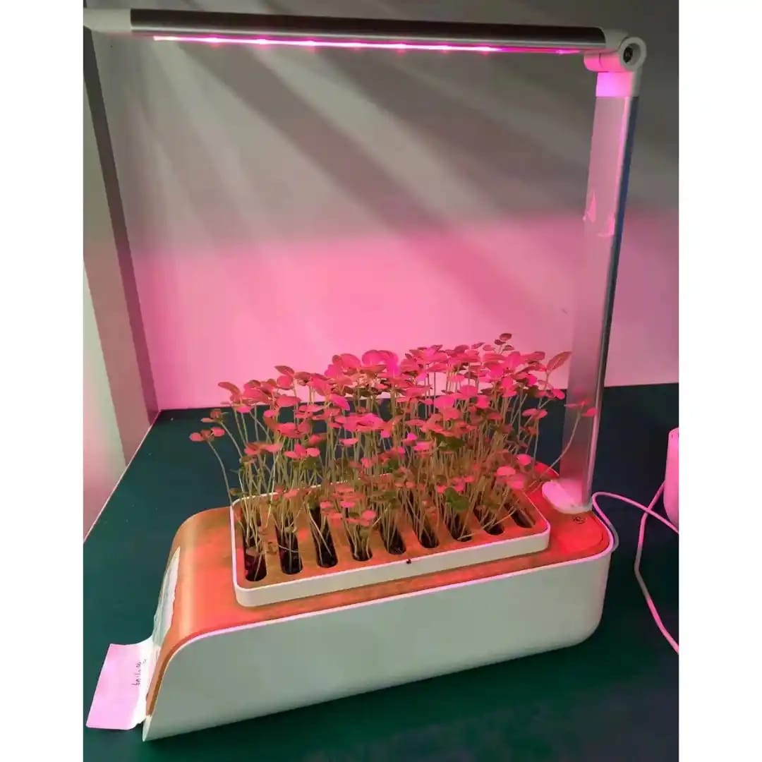Customer photo review of AquaFészek - Az Okos Minikert