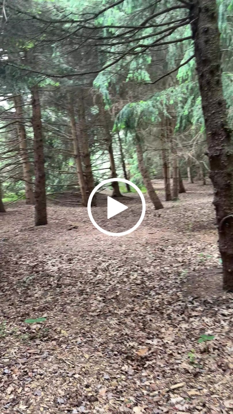 Customer video review of Snowballs Runtz