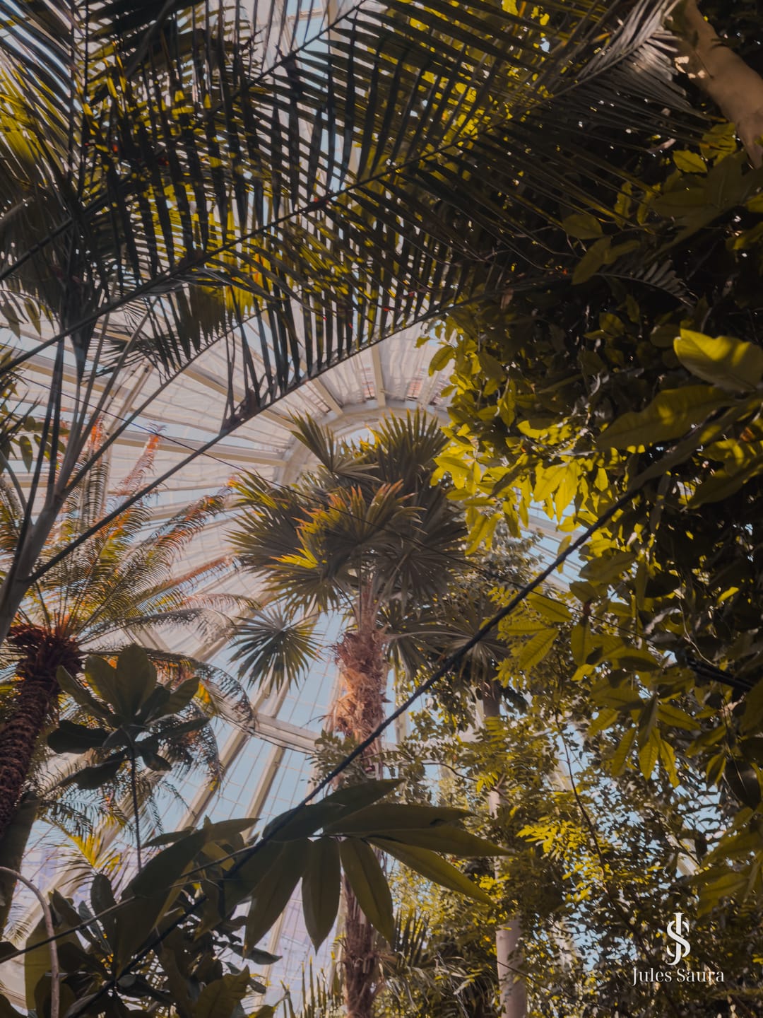 Customer photo review of Landscape & Nature Photography Lightroom Presets
